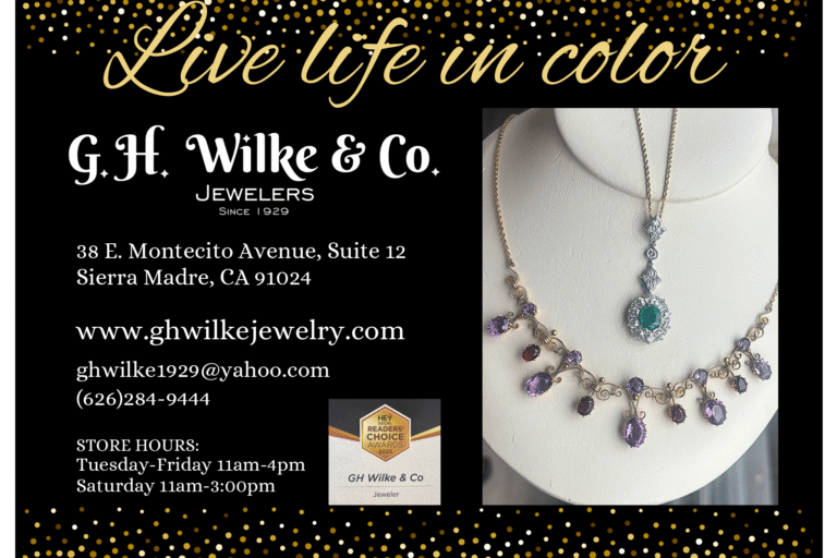 GH Wilke December live life in color flyer