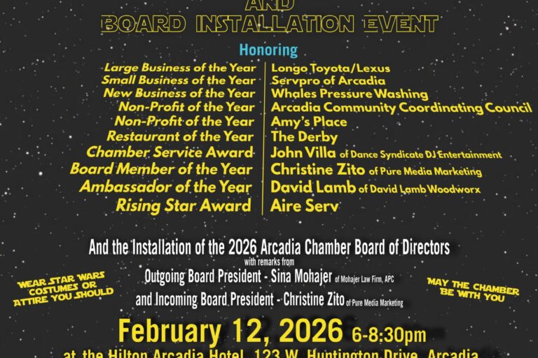 the ACE Awards flyer for 2026