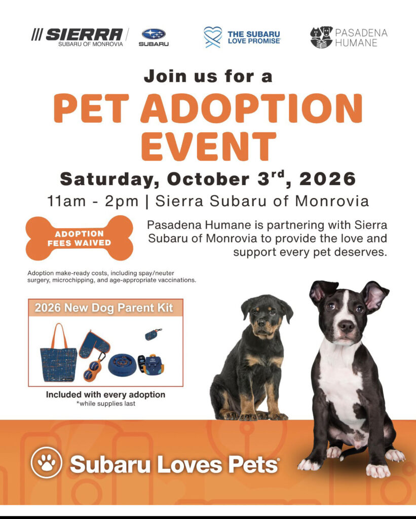 pet adoption event at Sierra Subaru 