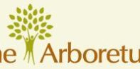 Arboretum logo