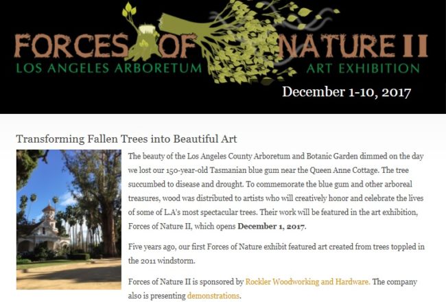 Forces of Nature Arboretum forces of nature part two exhibition for the Arboretum