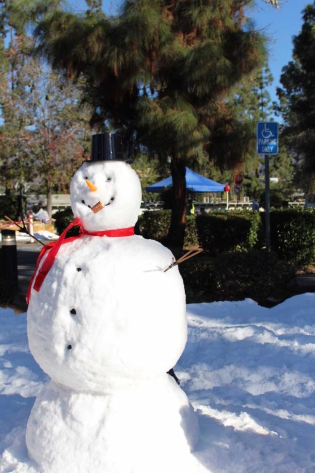 Snow Fest a snowman in the sun