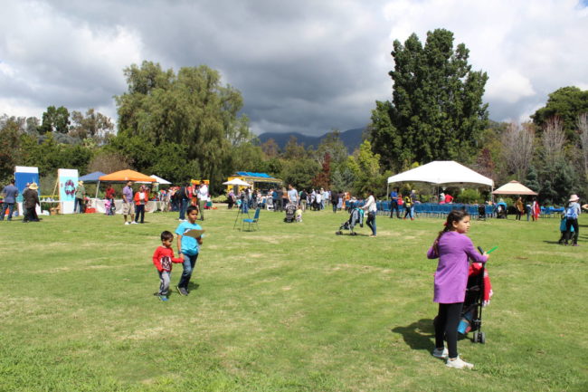 a group of people at a festival with booths and umbrellas set up though the sky looks cloudy and stormy