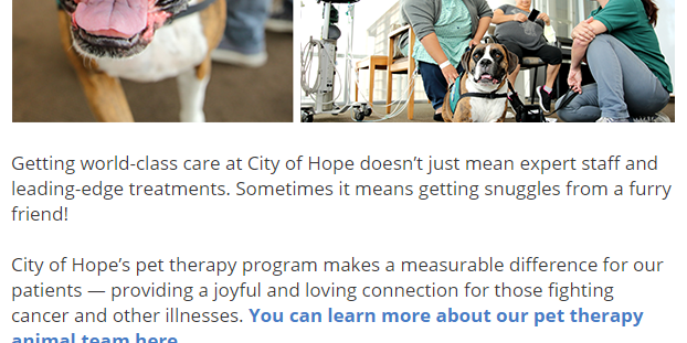 City of Hope dogs making a difference