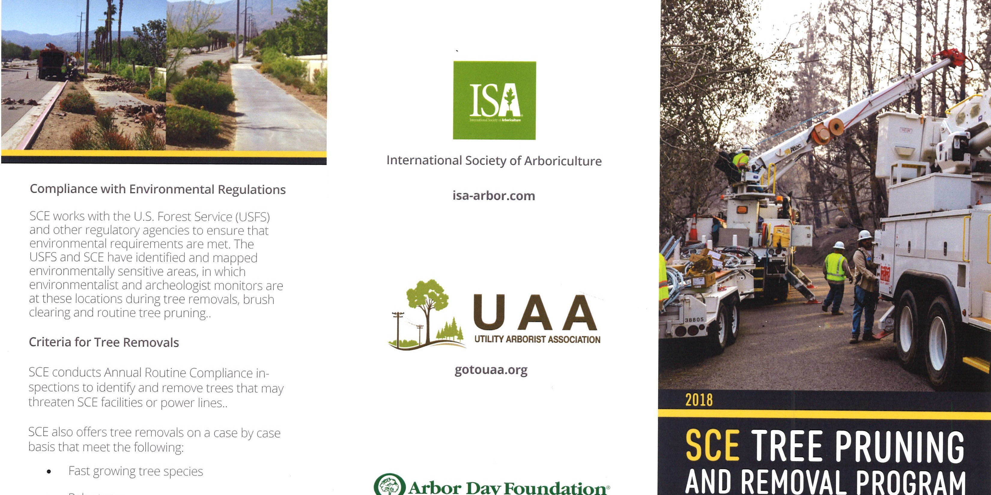 USC tree pruning and removal