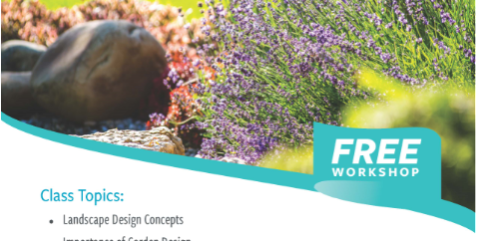 Upper San Gabriel Valley garden design concepts