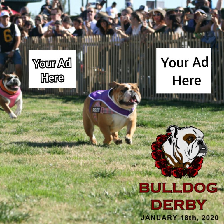 Santa Anita Bulldog Derby