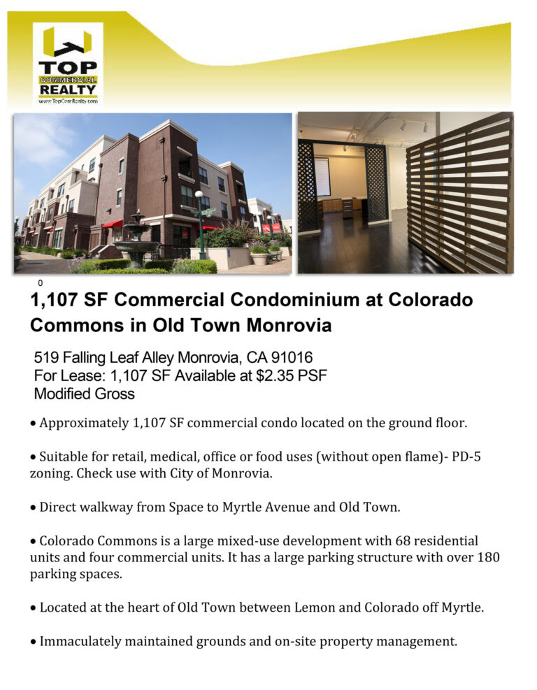 519 Falling Leaf Brochure from Linda Vidov