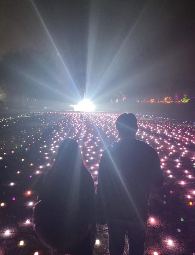holiday photo 1 Ligthscape at the Arboretum's Fire Garden