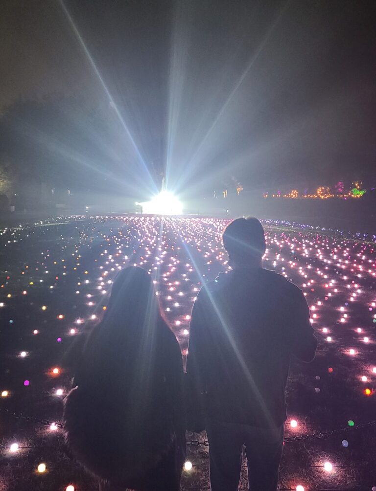 Ligthscape at the Arboretum's Fire Garden