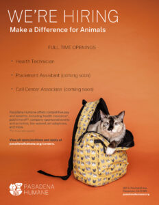 Pasadena Humane is hiring to make a difference for the animals showing a cat in a backpack