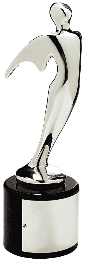 the silver Telly award