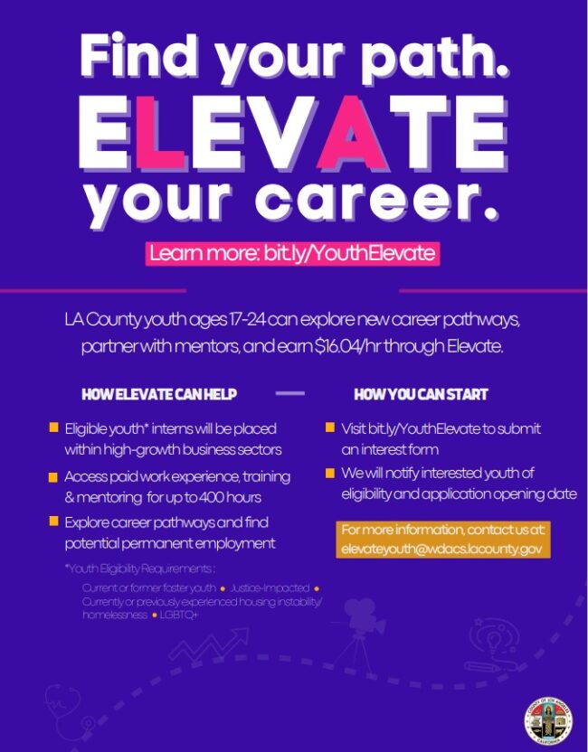 Elevate Mentor Program for youth blue Elevate flyer for businesses interested in participating