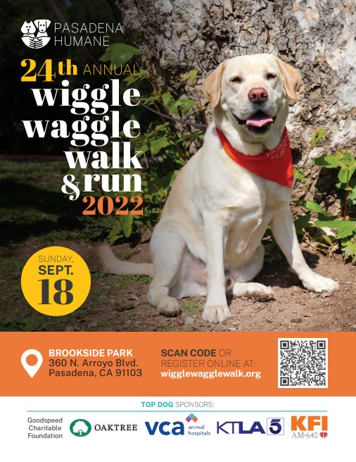 Pasadena Humane Wiggle Waggle Walk flyer with Labrador in front of plants 