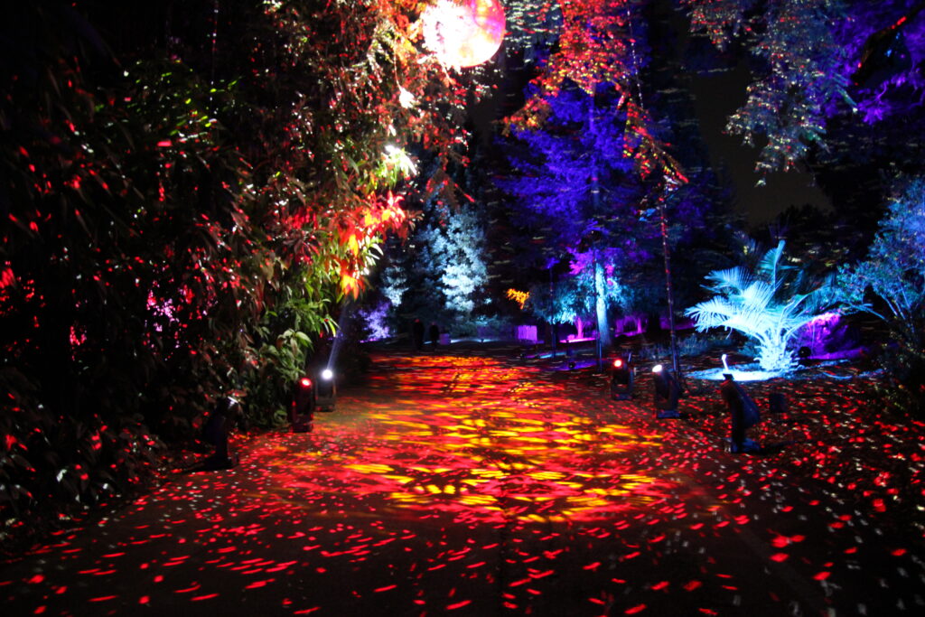 Lightscape pathway at LA Arboretum