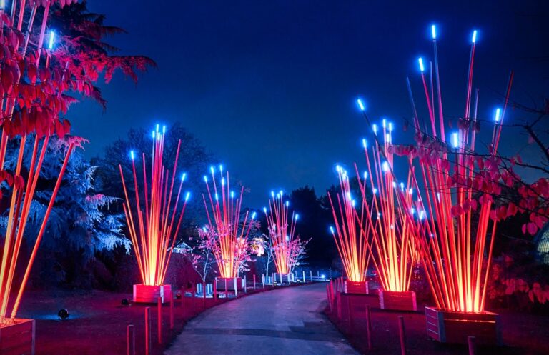 a lighted walkway with tall light installations