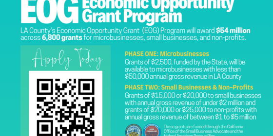 LA County grant program info LA County Economic Opportunity Grant Program information