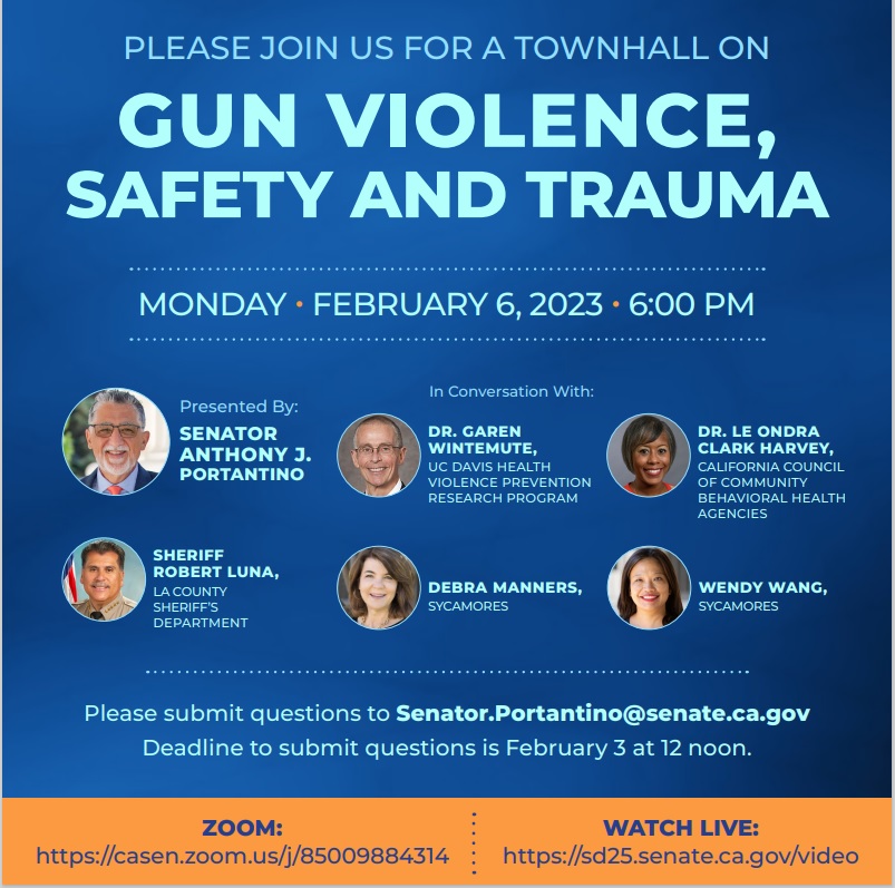 Senator Portantino gun violence, safety and trauma town hall 