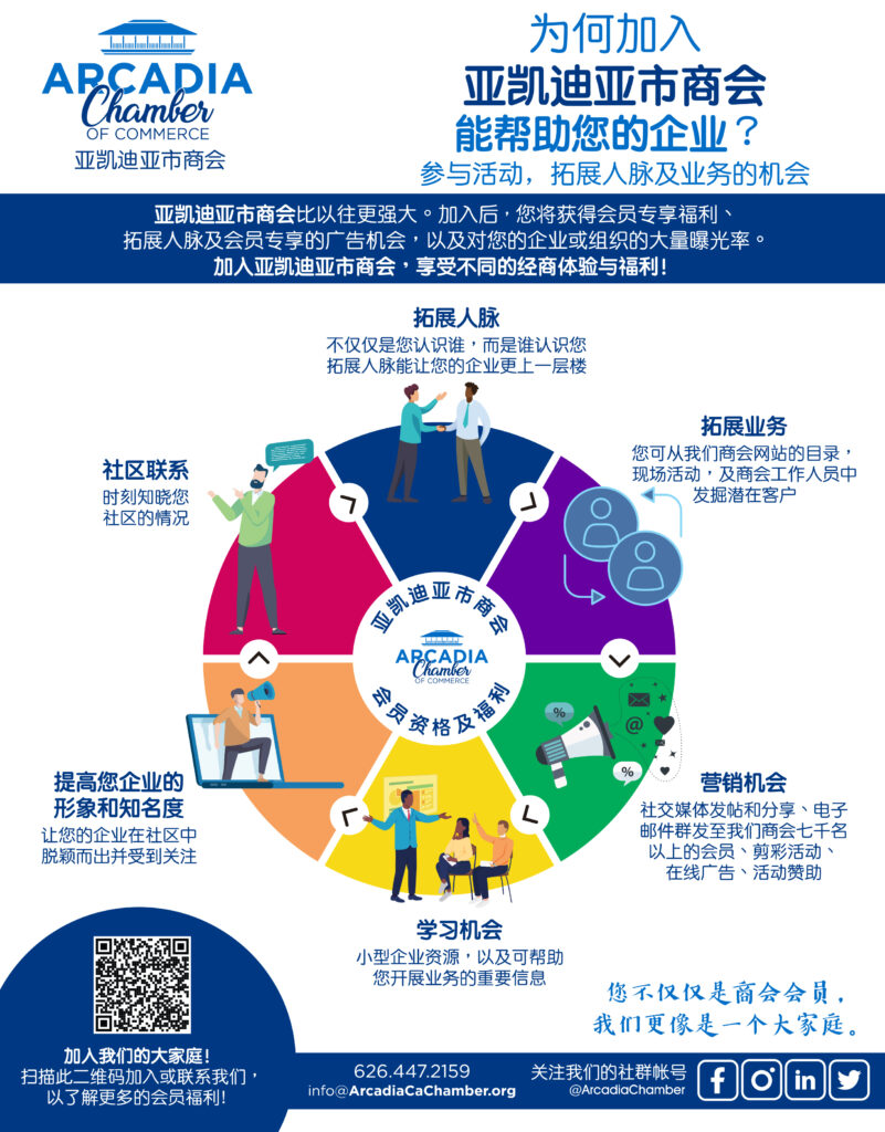 Chamber membership benefits wheel translated into Chinese