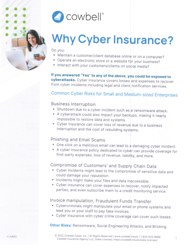 why ci=yber insurance information from Woods Insurance
