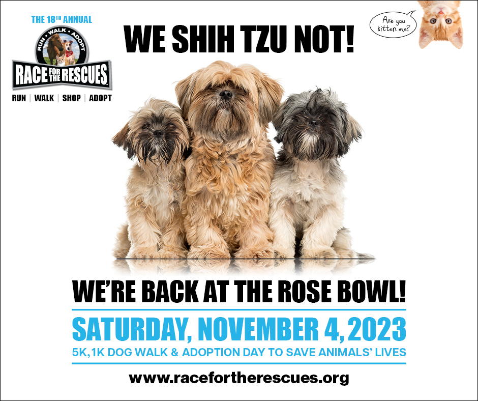 Race for Rescues flyer for 2023
