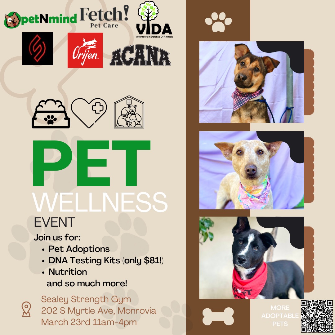 petNmind pet wellness event flyer for March 23 of 2024
