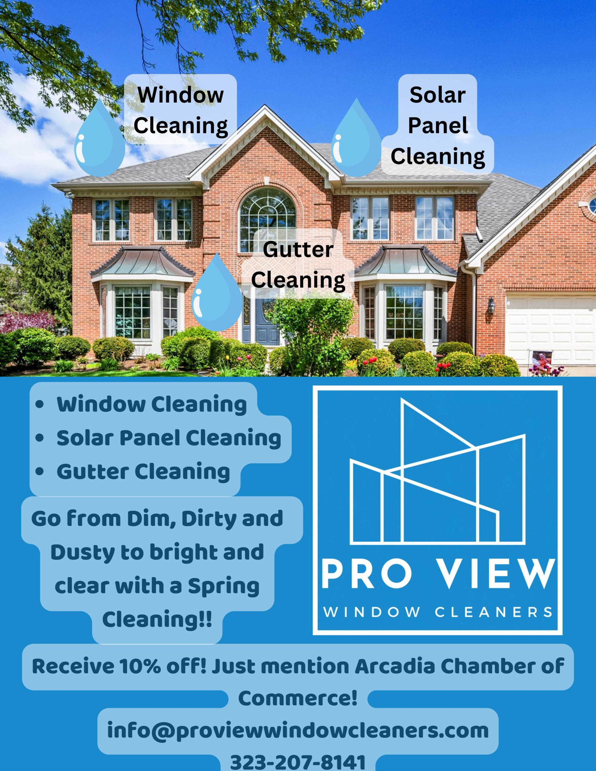 Pro View Window Cleaning blue flyer 