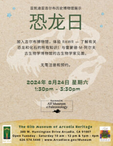 Dino Day at the Museum on August 24th flyer in Mandarin