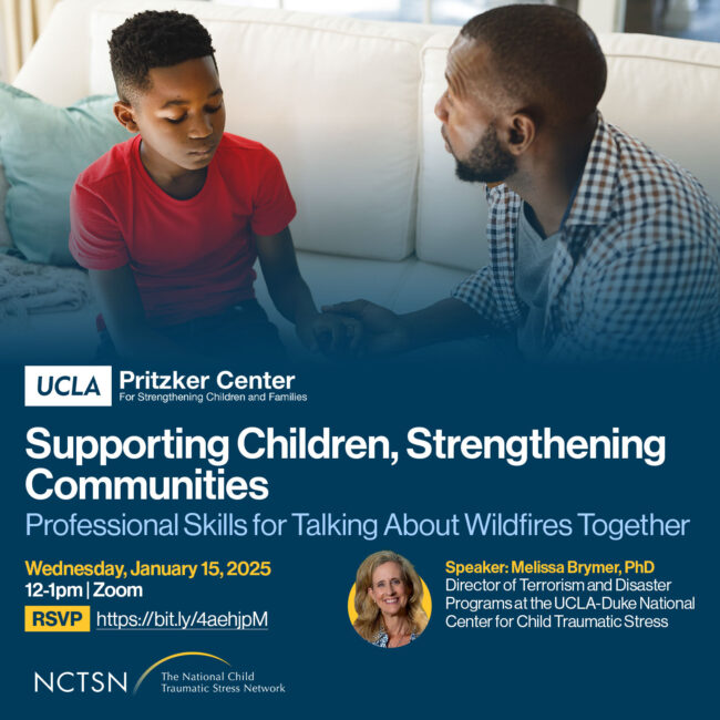 supporting children during crisis webinar from LA county