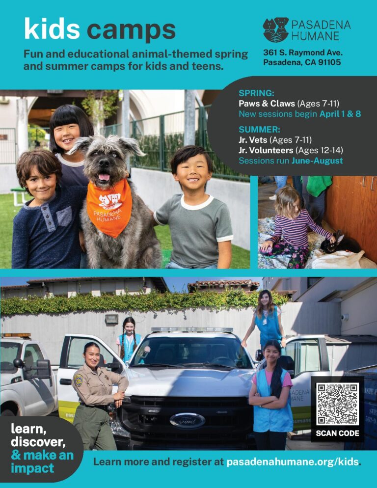 Pasadena Humane Society Kids Camp