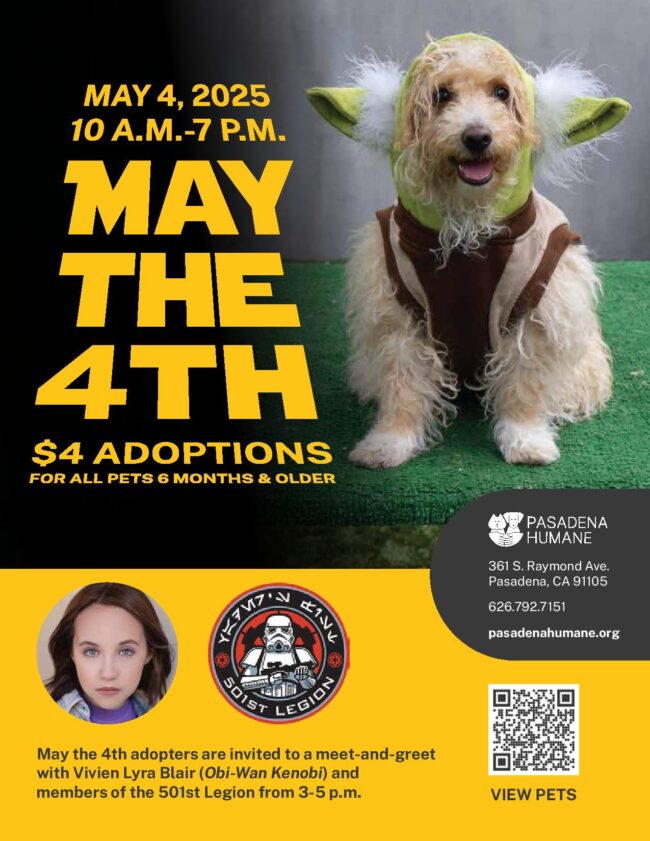 May the 4th Adoption day at the Pasadena Humane Society flyer showing an adorable fluffy pup dressed as Yoda