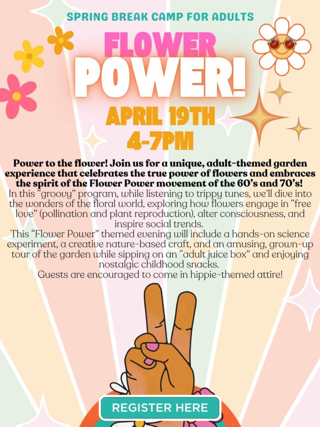 LA Arboretum Flower Power Adult Spring Break Camp for April 19th