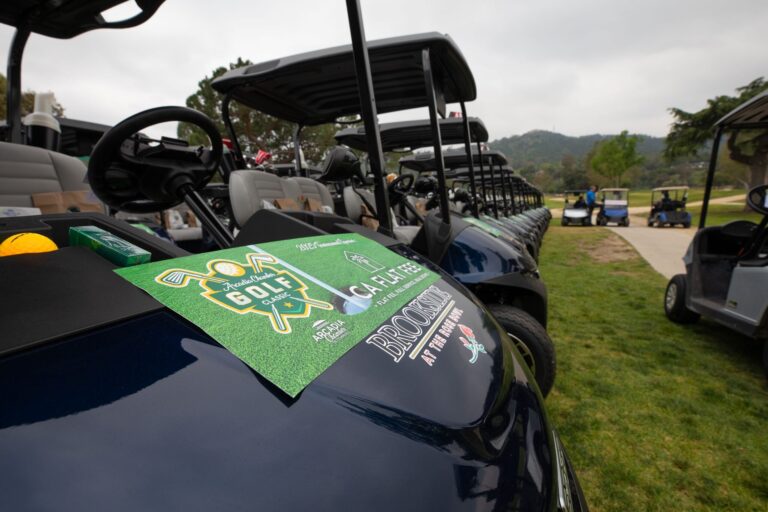 a close up of a CA Flat Fee logo on a golf cart