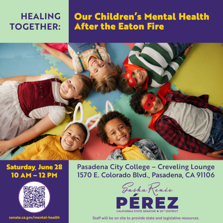 Senator Sasha Perez's healing together mental health seminar