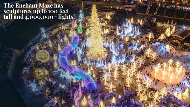 Enchant event buyouts promotional flyers