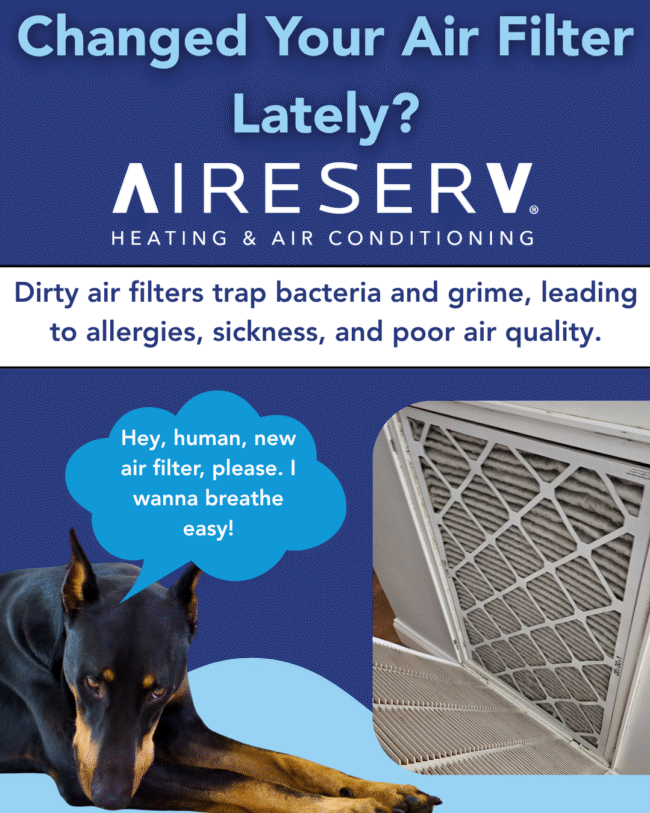 when was the last time you changed your air filter flyer from Aire Serv showing Ziggy the doberman beside and air filter on a blue background