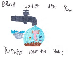 being water wise child's drawing of a faucet drop with an axolotl in it