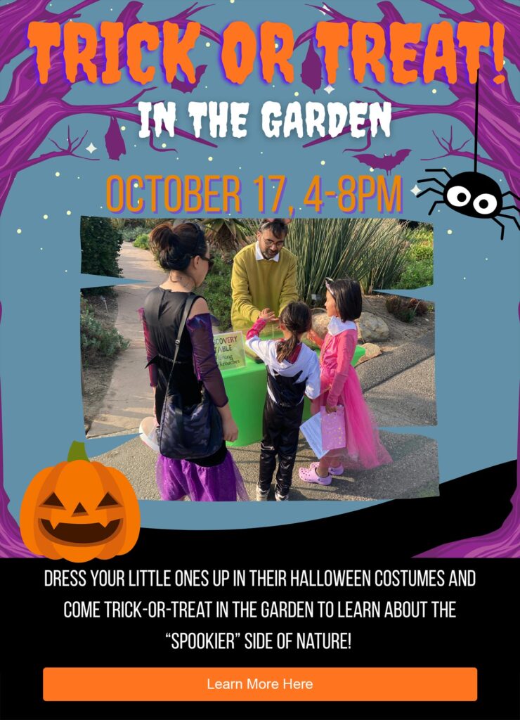 trick or treat in the garden at the Arboretum 
