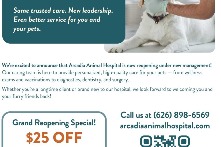 a fresh start for Arcadia Animal Hospital flyer