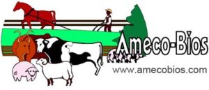 Ameco Bios logo Ameco Bios logo