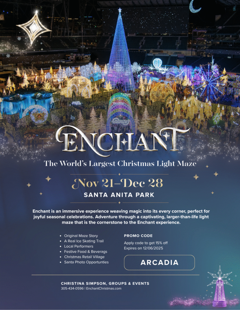 Enchant holiday discount flyer