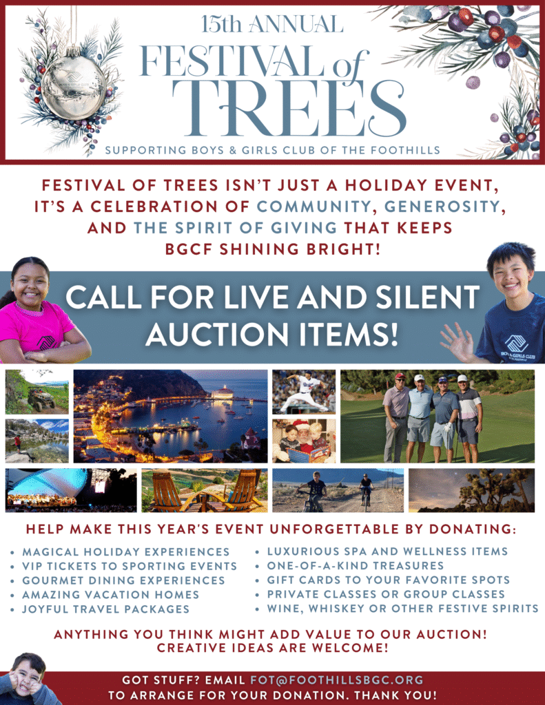 Boys and Girls Club of the Foothills Festival of Trees flyer for 2025 for auction items