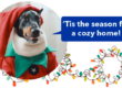 AireServ tis the season header with Ziggy the dog