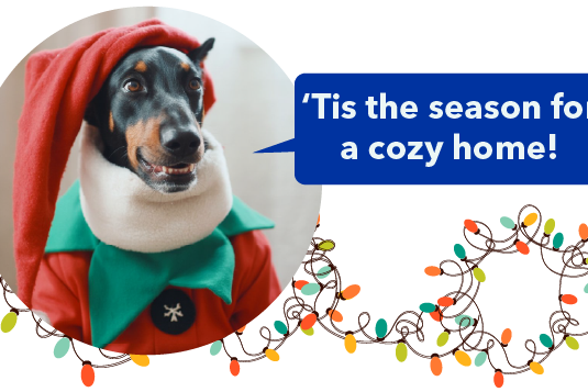 AireServ tis the season header with Ziggy the dog