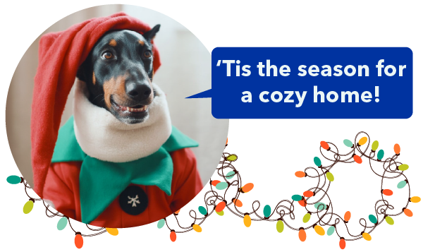 AireServ tis the season header with Ziggy the dog