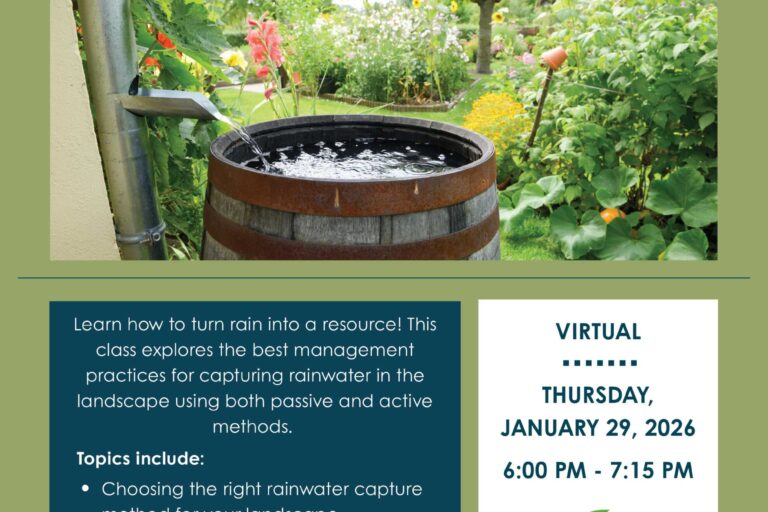 rain to roots water for your garden workshop with upper water flyer