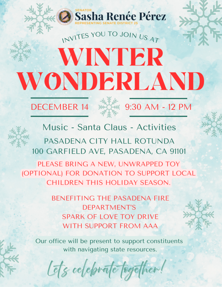 Senator Sasha Perez's Winter Wonderland info flyer