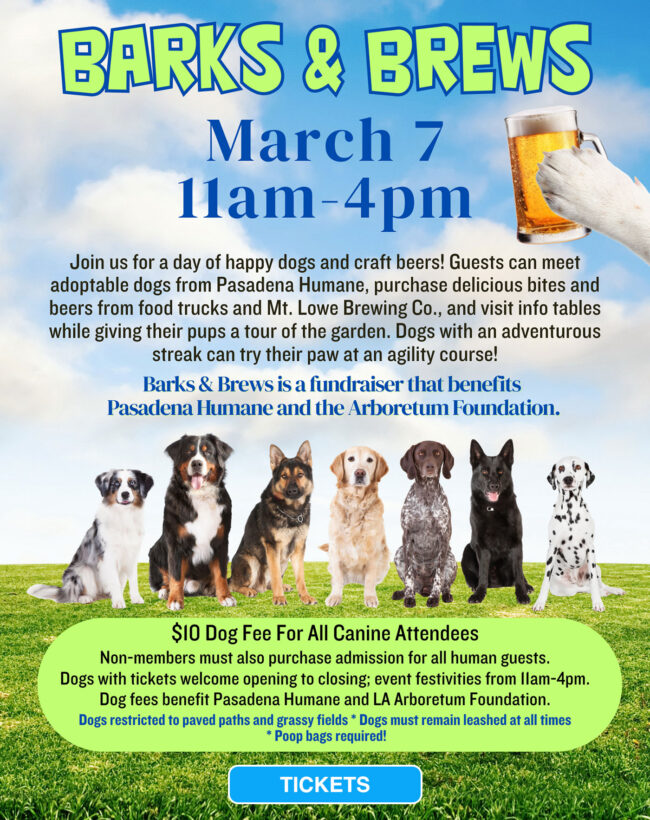 Barks and Brews at the LA County Arboretum flyer