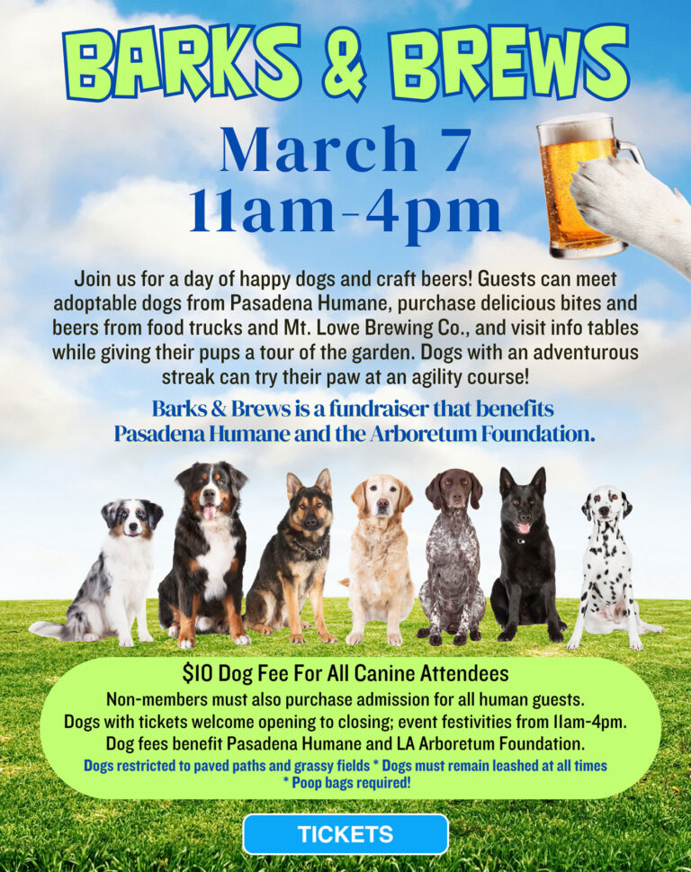 Barks and Brews at the LA County Arboretum flyer