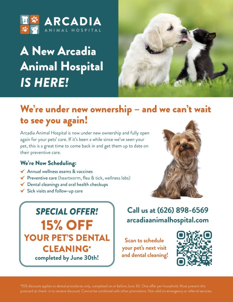 Arcadia Animal Hospital pet dental cleaning special offer flyer 